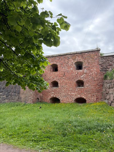 The image shows a section of the Vyborg Castle in Vyborg, Russia. The view is from a low angle, facing a brick building with six arched window openings arranged in two rows of three. The building appears to be part of the castle's defensive wall, which transitions to rough stone masonry at the base. Lush green grass and vegetation, including dandelions, cover the ground to the right of the building, with a darker paved walkway visible along the right edge. A tree with green leaves partially obscures the lower left portion of the scene. The sky above is overcast.