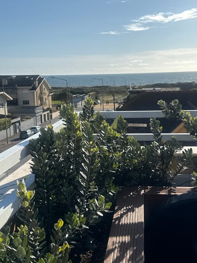 View from a balcony in Vila Nova de Gaia, Portugal, overlooking the Atlantic Ocean. The balcony has a white railing and a wooden deck area. Lush green plants in a container line the balcony. In the background, there are buildings, vegetation, and a beach. The sky is blue with some clouds.
