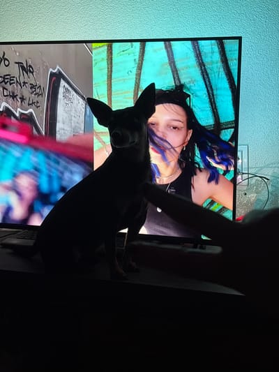 A dark silhouette of a dog stands in front of a television screen. The screen displays a woman with blue hair highlights lying down. Part of a hand is visible in the upper right portion of the image, possibly interacting with the television. The background wall is light blue. A lid and a clear rectangular object rest on top of the television. The location is not discernible as Kuklen, Bulgaria.