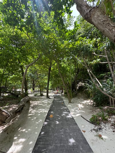 In Ao Nang, Thailand, a wooden boardwalk winds through a sandy path lined with lush green trees. Sunlight filters through the leaves, casting dappled shadows on the ground. To the left, a fallen tree trunk rests on the sand. Further down the path, a few people are visible in the distance, enjoying the natural scenery. The boardwalk itself is dark gray and has orange directional arrows painted on it. The environment is tropical, with dense foliage and a sandy beach area.