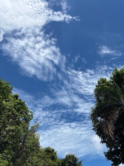 This is a medium shot photograph of a bright blue sky with scattered white clouds, taken from a low angle. In the foreground, lush green trees occupy the left and right sides of the frame, with some palm fronds visible on the right. The clouds appear wispy and streaky, suggesting a breezy day. The image is taken outdoors in an environment that is likely tropical, given the presence of palm trees and dense foliage, consistent with the location of บ้านบางรักษ์, Thailand. There are no people or animals visible in the image. The overall impression is one of a clear and pleasant day with dynamic cloud formations.