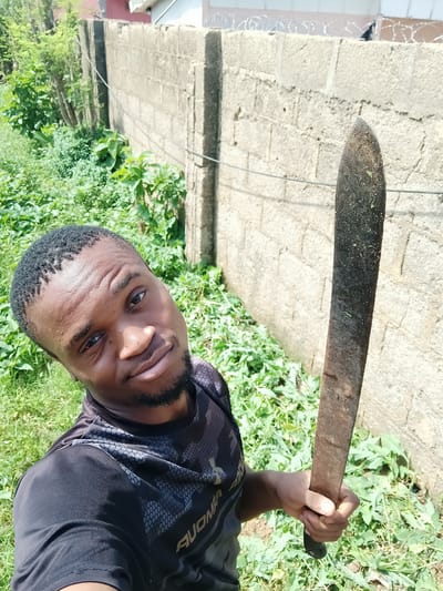 The image captures a male individual of African descent, estimated to be an adult, positioned outdoors in Narayi, Nigeria, under bright daylight conditions. He has short, dark, textured hair and a short beard and mustache. He is dressed in a black, short-sleeved t-shirt featuring a dark grey hexagonal pattern across the shoulders and upper chest, with partial text, potentially "AUOMAR," visible on the right side. The individual looks directly into the camera with a neutral to slightly smiling facial expression. His right hand is firmly gripping the black handle of a large, dark-bladed machete, which is held vertically upright to his right side. The machete blade appears worn and discolored, consistent with rust or soil accumulation, with small green specks of plant matter adhering to its surface.
The immediate background consists of dense, overgrown green vegetation, including weeds and bushes, covering the ground. Behind the vegetation and the individual, a light grey concrete block wall extends horizontally across the frame, exhibiting signs of wear and multiple horizontal lines, possibly wires or cables. Along the top of this wall, barbed or razor wire is visibly installed. Further in the background, beyond the wall, more trees and foliage are visible to the left, while portions of a building with a reddish-brown section and a white roofline are discernible to the upper right.