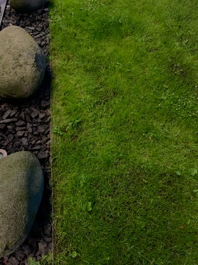 The image displays a close-up view of a manicured lawn bordering a bed of dark, angular gravel. Two large, rounded, grey stones are partially visible in the gravel area, one in the foreground and another higher up. The grass is a vibrant green and appears well-maintained, with a few small white wildflowers scattered throughout. The scene is illuminated by natural light, casting subtle shadows. The setting is a garden or park area. No people or actions are depicted. The image is devoid of any contextual information that would allow for its location to be identified as Warsaw, Poland.