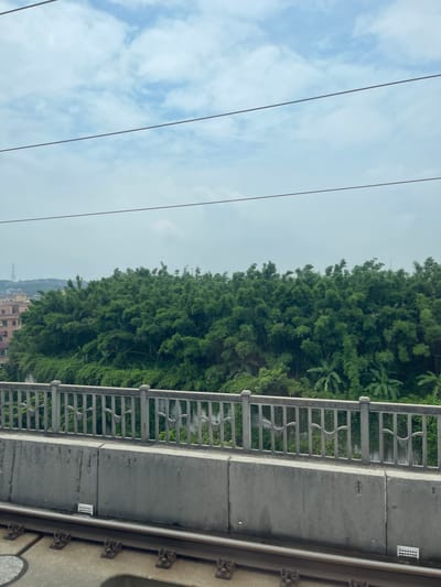 The image depicts an outdoor scene, oriented vertically. In the foreground, a concrete structure with a metal railing runs horizontally across the frame. The railing has a decorative, repeating pattern. To the left of this structure, a dense wall of lush green trees, appearing to be bamboo and possibly banana trees, dominates the mid-ground. Beyond the trees, a hazy cityscape with buildings and what looks like a power line tower is visible in the distance, hinting at an urban or semi-urban setting. The sky is overcast with clouds, suggesting a cloudy or hazy day. Three parallel dark lines, likely power lines, stretch diagonally across the left side of the image, against the pale sky. There is no visible text in the image. The overall impression is of a somewhat industrial or infrastructural element (the concrete structure and power lines) juxtaposed with abundant natural greenery.