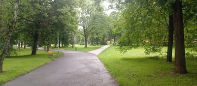 The image depicts a park scene in Karviná, Czechia. A paved pathway curves through a grassy area lined with mature trees. In the foreground, on the left side of the path, a wooden park bench is visible. Further along the path, a person is seen walking a small dog. Additional park benches and a trash receptacle are scattered throughout the green space. The atmosphere appears calm and natural, with lush foliage and well-maintained grounds.