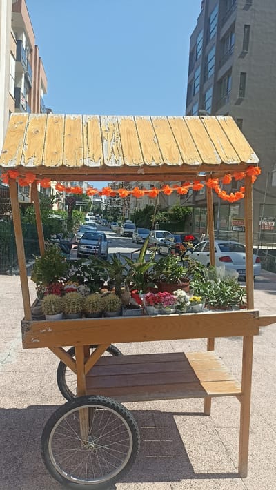 This is a photograph of a wooden flower cart positioned on a sidewalk in Yenişehir, Turkey. The cart, which is a light wood color, features a pitched roof made of planks and is decorated with a string of orange pom-poms along the front edge of the roof. The cart holds a variety of potted plants, including several cacti, succulents, and flowering plants in various colors such as red, pink, and white.
Behind the flower cart, a street is visible with several cars parked on both sides and in motion. The street is lined with buildings, some of which appear to be residential apartments, and trees. The sky is clear and blue, indicating a sunny day. The sidewalk is paved with a light-colored textured material. The cart has two large spoked wheels on the left side and appears to have a single wooden shelf below the plant display. The overall scene depicts a street vendor selling plants in a commercial or residential area of the city.