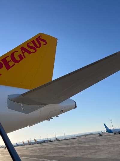 The image shows the tail of a Pegasus Airlines airplane with its logo in red on a yellow background. The tail is against a clear blue sky. Part of the wing of the same airplane is visible in the foreground, extending across the frame. In the background, on the tarmac of an airport, several other airplanes are parked. One airplane in the distance has a blue tail with a white logo. The airport appears to be in an industrial area, with a hazy industrial skyline visible on the horizon. The scene suggests the airplanes are at an airport located in or near Pendik, Turkey, given Pegasus Airlines' primary hub is at Istanbul Sabiha Gökçen International Airport, which serves the Pendik district. There are no people or visible actions in the image.