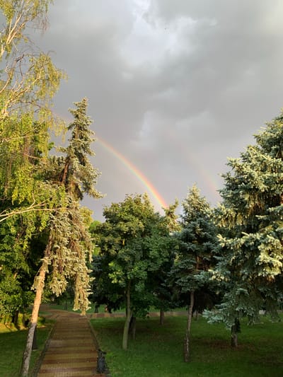 The image depicts a park with a paved walkway and mature trees. In the sky, a double rainbow is visible against a backdrop of gray clouds, suggesting recent rainfall. The walkway is constructed of bricks in a pattern of browns and yellows, and it curves gently into the distance, lined by lush green grass. Several evergreen trees with blue-green foliage are prominent, along with deciduous trees displaying vibrant green leaves. The lighting indicates it is either early morning or late afternoon. The location is the Alley of Glory in Tiraspol, Moldova. No people or animals are visible in the frame.