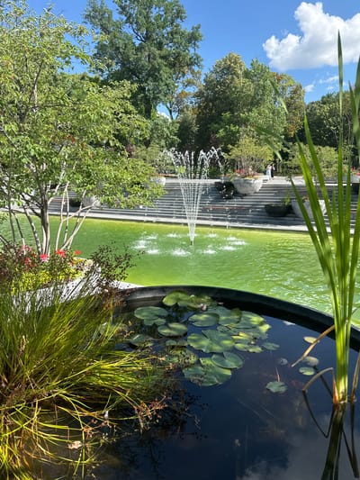 The image depicts a serene park scene with a focus on a tiered water feature. In the foreground, a pond is filled with dark water and dotted with numerous green lily pads. Tall, green grasses with dried seed heads grow along the edge of the pond, partially obscuring the water.
Beyond the pond, a large, rectangular pool of bright green water is visible. A tall, multi-tiered fountain shoots water into the air, creating a delicate spray. The pool is surrounded by wide, grey stone steps that ascend on the left side of the frame. Some of these steps have benches built into them.
In the background, lush green trees with a variety of foliage create a natural backdrop. The sky above is a clear, bright blue with a few fluffy white clouds. The lighting suggests it is daytime, likely a sunny afternoon, given the shadows and the brightness of the water.
There are a few people visible on the steps, appearing small in the distance, seemingly enjoying the park. One figure appears to be seated on a bench, and another is walking. The overall mood is peaceful and tranquil, suggesting a leisurely day in a well-maintained public space. The presence of lily pads and the fountain indicate a garden or park setting designed for relaxation and aesthetic enjoyment. The location context of Kharkiv, Ukraine, places this scene in a specific urban environment. No text is visible in the image.