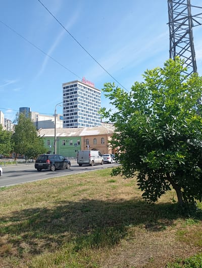 In Kharkiv, Ukraine, on a clear day, a high-rise building with a red sign adorns the skyline. In the foreground, a lush green tree stands tall, casting a shadow on dry grass. A power pylon is visible to the right. A black car and two white vans drive on a road that cuts through the city. The surrounding buildings are a mix of modern and older architecture, with a prominent green building situated in front of the high-rise. The sky is a vibrant blue, with a few wispy clouds and power lines crisscrossing the frame.