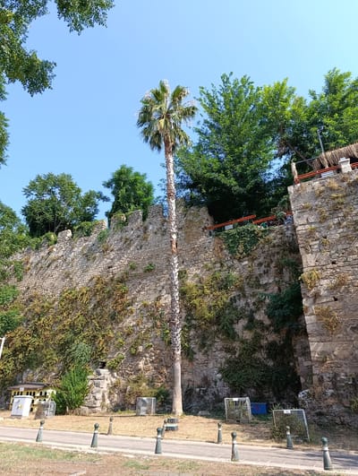 The image depicts a section of an ancient stone wall in Antalya, Turkey, likely part of historical fortifications. The wall, constructed from rough-hewn stones, is partially covered with green vegetation, including vines and moss, indicating its age and exposure to the elements. A tall palm tree stands prominently in front of the wall, its trunk weathered and its fronds reaching towards a clear blue sky.
At the base of the wall, a paved walkway is visible, bordered by a grassy area. Several decorative bollards with rounded tops are placed along the walkway. To the left of the palm tree, a yellow and white structure resembling a pigeon coop or birdhouse is situated near the wall. In front of the wall, there are several wire mesh cages, some containing plants. A blue plastic container is also visible in the vicinity.
Above the wall, on a higher level, a wooden deck or seating area with thatched roofing can be observed. Several individuals are casually seated in this area, enjoying the view or a meal. Orange railings delineate the edge of this elevated space. The surrounding area is lush with green trees, contrasting with the weathered stone of the wall and the bright blue of the sky. The overall scene suggests a public space that has preserved its historical character while incorporating modern amenities for visitors.