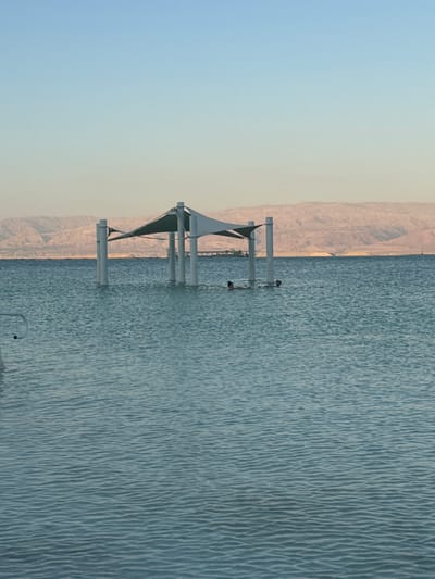 This vertical, eye-level, outdoor photograph depicts a serene scene at the Dead Sea in the Tamar Regional Council, Israel. The image is dominated by the calm, rippling surface of the water, reflecting the soft, pale blue and yellow hues of the sky, suggesting either early morning or late afternoon. In the background, hazy, muted-tone mountains rise, their textures softened by distance and atmospheric conditions.
A man-made structure, likely a pier or viewing platform, extends into the water from the left side of the frame. It features several white support poles and a triangular, white canopy. Two small, dark figures, possibly birds, are perched on one of the horizontal poles, adding a touch of life to the otherwise still scene. The overall mood is peaceful and tranquil, with the natural landscape creating a sense of vastness and the man-made element offering a point of human presence. The water's surface is textured with subtle waves, creating a repetitive, almost hypnotic pattern. No text is visible in the image.