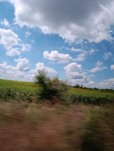 The image depicts a blurred view of a sunflower field under a partly cloudy sky. The motion blur suggests the photo was taken from a moving vehicle. In the foreground, there is a brown, blurry patch of ground with streaks of green and pink. In the middle ground, a line of green foliage, likely trees and bushes, stretches across the frame, with a field of yellow sunflowers visible behind it. The sky is a bright blue, dotted with white and gray clouds, some of which are heavily blurred. There are no people or specific identifiable structures visible. The scene is characteristic of a rural landscape.