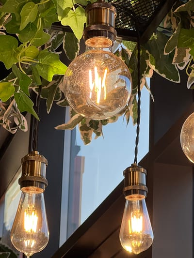 The image shows a close-up view of several Edison-style light bulbs hanging from a black cord, intertwined with artificial green and white variegated ivy plants. The light bulbs are lit, emitting a warm, yellow glow from their filaments. The bulbs have clear glass globes and metallic bases, with some appearing spherical and others elongated. The setting appears to be indoors, possibly a restaurant or cafe, given the decorative lighting and faux foliage. In the background, there is a blurred view through a window showing a bright sky, suggesting it is daytime. There are no people visible in the image. The focus is on the texture and luminescence of the light bulbs and the contrast with the surrounding greenery. The image has a warm and inviting aesthetic.