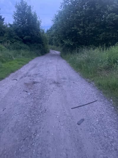 The image depicts a gravel road winding through a wooded area, likely on the outskirts of Zabrze, Poland, given the context. The sky is overcast and the lighting suggests it is either dawn or dusk. Dense green foliage lines both sides of the road, with tall trees forming a canopy overhead. The road surface is rough, composed of small stones and dirt, with a few scattered twigs and a long, dark, thin object, possibly a branch or piece of debris, lying across it. The overall impression is one of a quiet, natural environment, with the road serving as a path through the wilderness. There are no people or animals visible in the image.
