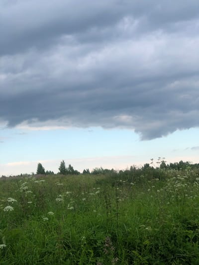 This media file shows a scenic view of a field in Zhukovo, Russia. The image is oriented vertically, with the left half dominated by a dramatic, stormy sky filled with dark, heavy clouds. The right half of the image depicts a lush green field teeming with wildflowers and tall grass. A line of trees can be seen in the distance, forming the horizon. The contrast between the dark, turbulent sky and the vibrant, verdant field creates a striking visual. The time of day appears to be late afternoon or early evening, with the soft light suggesting the sun is low in the sky. The weather seems to be changing, with the storm clouds indicating potential rain. The overall mood is one of natural beauty and the power of the elements. There is no visible text in the image.