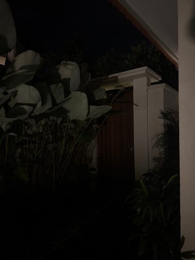 The image shows a dimly lit outdoor scene at night, possibly in Abiansemal, Indonesia. A tall wooden door with a vertical handle is visible in the center, set within a white-columned structure. To the left of the door, large, dark green leaves of a plant are prominent, casting shadows. The foreground is dark, with some greenery also visible on the right. Trees are silhouetted against a dark night sky in the background. The overall impression is one of a secluded entrance or pathway illuminated by ambient light.