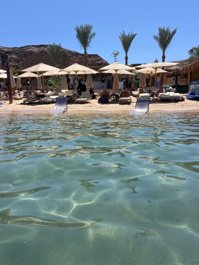 The image captures a vibrant beach scene in Sharm El Sheikh, Egypt. The foreground is dominated by crystal-clear turquoise water, with sunlight creating shimmering patterns on the surface. The water appears calm and inviting, suggesting pleasant weather conditions.
Along the sandy shoreline, a series of beach umbrellas and lounge chairs are set up, indicating a popular relaxation spot. Several people are visible lounging on the chairs or walking along the beach, enjoying the day. Palm trees add a tropical touch to the scene, their fronds reaching towards a clear blue sky. In the background, a dramatic rocky cliff face rises, providing a striking contrast to the soft sand and water.
The overall atmosphere is one of leisure and relaxation. The bright sunlight and clear sky suggest it is daytime, likely mid-morning or afternoon. The presence of beach amenities and people enjoying themselves points to a tourist destination. Some text is visible on a sign near the beach umbrellas, though it is not fully legible. The location context of Sharm El Sheikh, Egypt, reinforces the visual cues of a sunny, beach-resort environment.