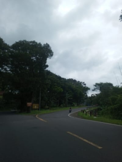 An outdoor scene in Ariyalai East, Sri Lanka, depicts a paved asphalt road under an overcast sky. The road features a primary path curving to the right in the mid-ground, marked with yellow solid and dashed lines, and a secondary turn-off branching left in the foreground, also marked with a yellow solid line. Dense, dark green trees and foliage line both sides of the road, creating a canopy effect. Two streetlights are visible along the road's edges. On the left side, near the turn-off, two indistinct brown rectangular signs are present, with a dark, partially obscured building behind them. A dark guardrail or barrier runs along the right edge of the curved main road. A single motorcycle, carrying one individual, is observed in the mid-ground traveling away from the viewer along the right curve of the main road. The sky is entirely covered by a thick layer of grey clouds, indicating heavily overcast conditions.