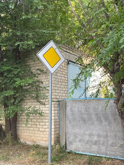 The image shows a street sign in a natural setting. The sign is a white diamond with a yellow interior, indicating a priority road. It is mounted on a gray metal pole. The sign is partially obscured by the branches and leaves of a large tree. In the background, there is a brick wall of a building, possibly an outbuilding or garage, with a large, flat, gray concrete surface above it, bordered by a light blue trim. The ground is covered with dry grass and some green foliage. The lighting suggests it is daytime, with sunlight filtering through the leaves, creating dappled shadows. The scene appears to be in a rural or suburban area, likely in Donskoye, Russia, given the context. There are no people visible in the image.