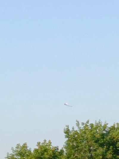 An outdoor, low-angle shot shows a bright blue sky with a faint haze. In the mid-ground, a kite with white, red, and black markings is angled upwards, extending from right to left. The kite appears to have a long tail trailing behind it. In the foreground, the tops of lush green trees are visible, obscuring the lower portion of the image. The scene is set in the city of Zalesovo, Russia.