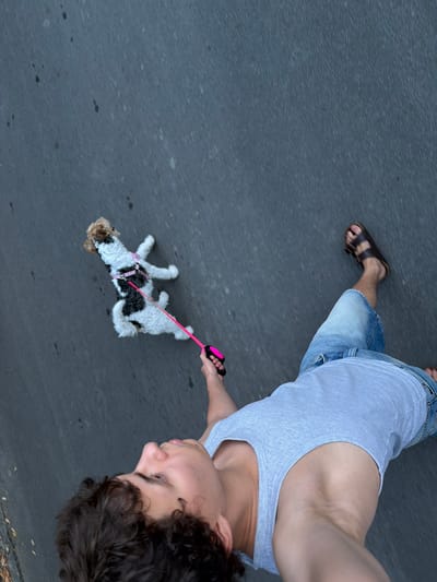 An overhead shot shows a young man walking a small, scruffy white and brown dog on a pink retractable leash. The man is wearing a light gray tank top and denim shorts, and brown Birkenstock sandals. He is holding the leash in his right hand, which is near the bottom right of the frame. The dog, wearing a pink harness, is to his left and slightly ahead, with its body angled toward the left. Both the man and the dog are walking on a dark asphalt surface, likely a street or sidewalk in the Palilula Urban Municipality, Serbia, judging by the context. The perspective suggests the photo was taken by the man himself using a selfie-style shot. The environment appears to be outdoors with no other people or significant landmarks visible.