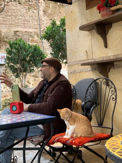 The image portrays an outdoor cafe or restaurant setting in Tangier, Morocco. An adult male, wearing a brown flat cap, dark-rimmed glasses, a dark brown quilted jacket, and blue jeans, is seated to the left, gesturing with his raised right hand while looking towards his left. In front of him is a square table with a blue and white mosaic tile top, on which a light green smartphone is vertically positioned within a red cube-shaped stand. To the man's right, an orange and white cat is seated on a red cushion atop a black wrought iron chair; its head is lowered. A second, predominantly orange cat is partially visible further to the right, behind the first cat, also on a chair. The background consists of a textured, light-colored wall on the right with two rustic wooden shelves, the upper one holding a small pot with red flowers and a framed object. To the left, an older, light-brown brick wall is visible, adorned with several small green potted plants.