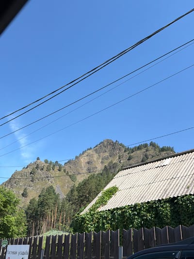 The image captures a mountain landscape with a clear blue sky. In the foreground, a dark wooden fence runs horizontally, partially obscured by the roof of a building. This building has a corrugated, light-colored roof and is covered in lush green ivy along its lower walls. Behind the building, a dense forest of tall pine trees is visible, leading up to a rocky, mountainous slope dotted with scattered trees. Power lines stretch across the upper portion of the frame. A white sign with Cyrillic text is attached to the fence, reading "Гостевая усадьба" (Guest Estate). The scene depicts a rural or semi-rural setting, possibly a resort or accommodation in the city of Uznezya, Russia. There are no people visible in the image, and no discernible actions or interactions are taking place.