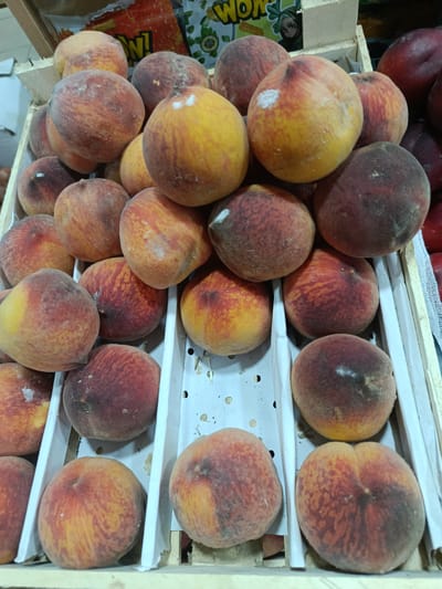 The image displays a close-up view of multiple ripe peaches arranged in wooden crates, likely at a market stall in Gulbakhor, Uzbekistan. The peaches vary in color, with shades of yellow, orange, and red, and have a fuzzy texture. Some have a light dusting of white, possibly from being handled or from natural bloom. The crates are lined with white paper or cardboard to separate the fruit. In the background, partially visible items suggest a marketplace setting, with glimpses of packaging and other produce. The lighting is bright, indicating an indoor or shaded outdoor location during the day. There are no people visible in the frame.
