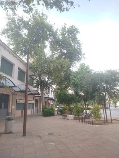 The image depicts a street scene in Valencia, Spain, likely during the daytime as indicated by the natural light and the bright sky. The foreground features a paved walkway with large, square tiles. A trash can stands to the left, and a lamppost with three lights rises from the sidewalk.
The background shows a building with a light-colored facade and dark-tinted windows. Awnings extend over the storefronts below the windows. Some of the storefronts have visible text, including "DROGUERIA" and "PERFUMERIA." To the right of the building, several trees with lush green foliage line the sidewalk. Beyond the trees, a street is visible, with a few people and some parked bicycles.
The overall impression is one of a quiet, possibly residential or commercial street on a pleasant day. The environment appears clean and well-maintained. There are no specific activities or events clearly depicted, but the presence of benches and bike racks suggests a public space intended for leisure and convenience. The sky is bright, possibly indicating a clear or slightly overcast day.