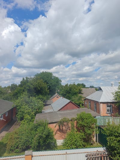 This is an eye-level, outdoor, medium shot of a residential area in Hadiach, Ukraine. The sky is mostly cloudy with patches of blue visible. The clouds are white and fluffy, with some darker, rain-heavy clouds visible. A few small, dark specks that might be birds are present in the sky.
The scene depicts a collection of brick and wooden houses with various roof types, including grey slate and metal. Some houses have visible windows and chimneys. Dense green trees and bushes surround the houses, with some vegetation growing on the side of a brick building. A green wooden gate and a white metal fence are visible in the foreground. The overall impression is of a somewhat overgrown, rural or semi-rural residential neighborhood. No people are visible in the image.