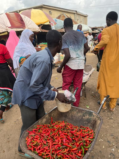 In Rafin Par, Nigeria, a market scene unfolds with a focus on fresh produce. A man in a blue button-down shirt is actively engaged in selling a large quantity of red and green chili peppers. These peppers are piled high in a weathered metal wheelbarrow, suggesting a bustling commerce. The man is holding a plastic bag with a few items in his left hand, possibly for a customer.
Surrounding him are other individuals. To his right, a man in a vibrant yellow traditional outfit stands, possibly a customer or fellow vendor. Behind the pepper vendor, a woman in a white hijab with intricate beadwork and a colorful patterned skirt is visible, her face turned away. To her left, another woman is seen in a bright pink hijab. Further in the background, more people are present amidst market stalls and awnings, indicating a lively marketplace environment. The ground is dirt, typical of an outdoor market. The sky is overcast, suggesting it might be a humid day.
