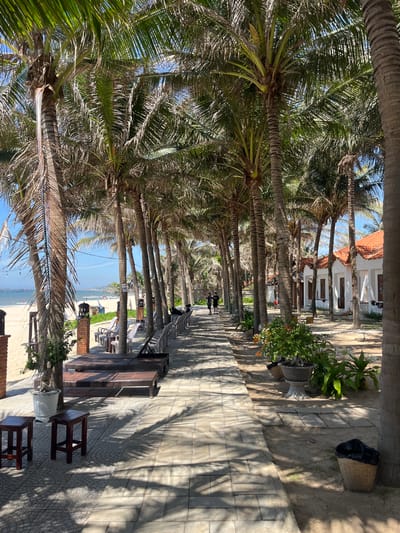 In Mui Ne, Vietnam, a paved walkway lined with numerous tall palm trees leads towards a beach. On the left side of the walkway, a sandy beach with lounge chairs and umbrellas is visible, with the ocean in the distance. On the right side, there are small white buildings with orange roofs, likely accommodations. Two individuals are walking away from the camera down the path. The scene depicts a tropical resort setting with clear blue skies and dappled sunlight filtering through the palm fronds.