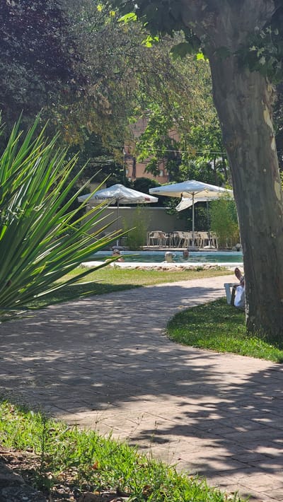 The image depicts an outdoor scene at a leisure facility in Alhama De Aragón, Spain, likely a hotel or spa. In the foreground, a paved pathway winds to the right, bordered by green grass and dappled shade from overhead trees. To the left, a large, spiky green plant dominates the foreground.
In the mid-ground, a swimming pool is visible. Several people are in the pool, with their heads and shoulders above the water, appearing to relax. Two large white umbrellas are set up near the pool, providing shade. Beneath the umbrellas, tables and chairs are arranged, suggesting an outdoor seating area. In the background, a building with a light-colored facade and windows is partially visible, surrounded by trees. On the right side of the image, a person is seated in a white lounge chair, partially obscured by a large tree trunk. The overall impression is a peaceful, sunny day at a recreational area.