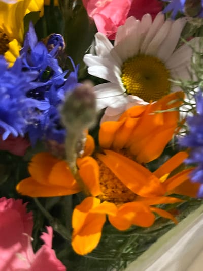 This is a close-up, macro photograph of a bouquet of flowers. The arrangement includes several vibrant blooms: orange calendula flowers with pointed petals, a white daisy with a yellow center, bright blue cornflowers, and some pink flowers that appear to be carnations or similar. There is also a yellow flower, possibly a sunflower, visible in the upper left quadrant. The bouquet is shot against a dark, green background, suggesting it is either a natural setting or indoors with dim lighting. The image has a soft focus, contributing to an artistic and somewhat ethereal quality. There are no people or discernable landmarks visible in the image. The location of this bouquet within the city of Dnipro, Ukraine cannot be determined from the provided image.