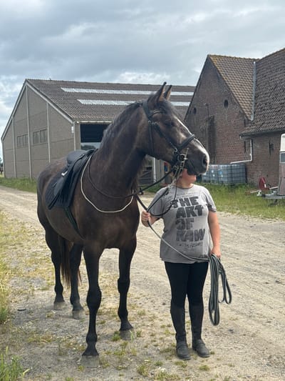 A person and a dark brown horse are the central subjects in a daytime outdoor scene, likely at a stable yard or farm in Estaimpuis, Belgium. The image captures a tender moment as the person, dressed in a grey t-shirt, black leggings, and black riding boots, stands close to the horse. The horse, equipped with a bridle and a black English saddle, has its head turned towards the person, and their muzzles are nearly touching, suggesting an affectionate interaction, possibly a nuzzle or a kiss. The person holds coiled black reins in their left hand.

The setting features a gravel or dirt path underfoot, interspersed with patches of green grass and small white flowers. In the background, two large buildings are visible. The one on the left appears to be an older, brick structure with a dark tiled roof, while the building on the right seems to be a more modern concrete structure with a lighter-colored roof and several windows or vents. A large, dark opening is seen in the side of the concrete building. The sky above is overcast with soft, grey clouds.

Notable text on the person's grey t-shirt reads "TAKE LIFE RAW", with smaller text below it saying "ART IS NEVER FINISHED ONLY ABANDONED." and "BY PRODUCT OF HUMAN". The overall impression is one of calm and companionship between the rider and their horse in a rural equestrian environment.