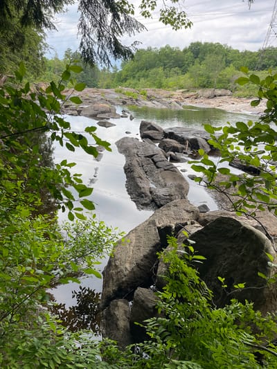 This is a medium shot, eye-level, vertical photograph of a rocky riverbed with lush green foliage in the foreground and background. The river is calm and reflective, with large, dark rocks scattered throughout. The water appears clear and still, with a few fallen leaves visible on its surface. The riverbed is uneven and made up of smooth, rounded stones of various sizes. The foliage in the foreground consists of branches with bright green leaves, some of which are slightly blurred, suggesting movement. The background is dominated by a dense forest of green trees, with a few power lines visible in the distance against a cloudy sky. The overall impression is one of a natural, serene landscape. The location is the Village of Lyons Falls, United States of America.