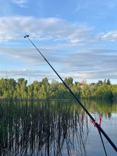 This image captures a serene outdoor scene, likely at a lakeside or riverbank in Васильево, Russia. The dominant subject is a black fishing rod extending diagonally from the lower left to the upper right of the frame, poised over calm water. A fishing reel is visible near the top left end of the rod, and a bright red indicator is attached further down the rod, closer to the water. Another thinner rod or support is also partially visible behind the main rod.
The setting features a clear blue sky with scattered white, wispy clouds. The horizon is marked by a lush line of dense green trees on the opposite bank of the water body. Peeking through and above these trees, the roofs and upper sections of a few traditional-style houses or buildings can be seen, suggesting a settlement nearby. The water's surface is relatively still, reflecting the sky and the trees, creating a peaceful mirrored effect. In the immediate foreground, dense, tall, dark green reeds or marsh grass emerge from the water, partially obscuring the water's edge and adding texture to the scene. A small, dark speck, possibly a bird or distant aircraft, is faintly visible in the sky.
The primary activity suggested is fishing, with the rod actively deployed over the water. The soft, even lighting, without harsh shadows, indicates either early morning or late afternoon, creating a tranquil atmosphere. The weather appears clear and pleasant, conducive to outdoor recreation. There is no visible text in the image.