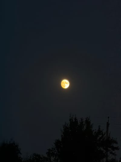 A full moon, appearing bright orange, is centered in a dark night sky. The sky is mostly clear, with a faint texture visible. In the lower portion of the image, the silhouetted branches of trees are visible against the sky, along with a portion of a utility pole. The scene is likely outdoors in a semi-urban or rural area. The image is a vertical composition.