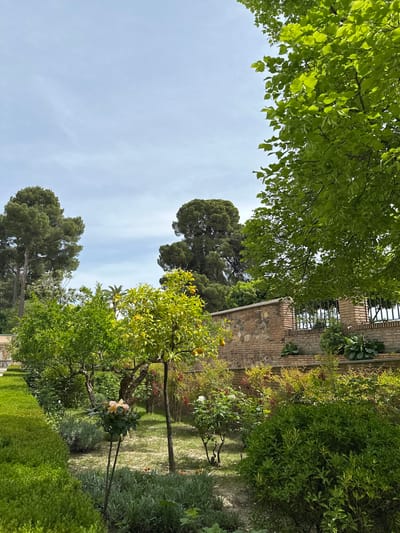The image captures a vibrant garden scene under a bright, clear daytime sky, consistent with the location context of Granada, Spain. Lush green foliage dominates the frame, with various trees and plants thriving.
In the foreground and mid-ground, several trees with lighter green leaves bear small, round, yellow-orange fruits, indicative of citrus trees like oranges or lemons. Taller, darker green trees, possibly pines, rise majestically in the background and along the left, their dense canopies providing shade. The ground beneath is a mix of grass and earth, illuminated by sunlight and patterned with tree shadows.
A rustic stone and brick wall, topped with a black metal fence or railing, stretches horizontally across the mid-ground, forming a clear boundary within the garden. Various smaller plants, including bushes with red berries and large-leaved plants, grow against this wall. A manicured green hedge is visible along the lower right, and a cluster of delicate pale pinkish-yellow flowers adds a touch of color to the lower mid-ground.
The scene conveys a sense of tranquility and natural beauty. The bright sunlight and mostly clear sky suggest pleasant weather. No human activity or visible text is present, allowing the focus to remain on the verdant landscape and the architectural elements. The overall impression is one of a peaceful, well-maintained garden.