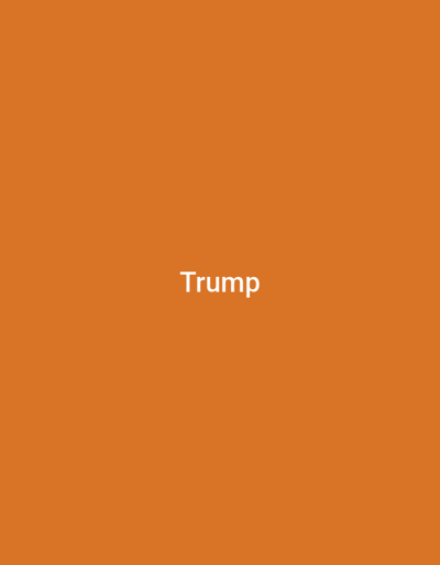 The image is a still frame of text that reads "Trump" in white, sans-serif font, centered on an orange background. The text appears in the middle of the frame. There is no discernible location in the city of Homyel, Belarus, depicted in this image. The image does not contain any people, subjects, objects, or actions.