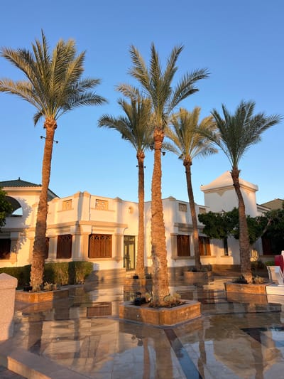 This is a medium shot, eye-level, outdoor photograph taken at sunset in Sharm El Sheikh, Egypt. The scene is dominated by several tall palm trees in the foreground, casting long shadows on the wet, reflective tiled ground. Behind the trees, a modern, white building with distinct architectural features, including arched windows and decorative elements, is illuminated by the warm, golden light of the setting sun. The sky is a clear, bright blue, indicating fair weather. The overall impression is one of a serene and luxurious resort setting.
