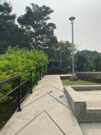 Two white doves walk on a concrete pathway in Taman Mini Indonesia Indah (TMII), East Jakarta, Indonesia. The pathway is bordered by lush green bushes on the left and a raised concrete structure on the right. A black metal railing runs along the edge of the pathway, separating it from the bushes. In the background, trees and a small building with a traditional Indonesian roof are visible. A modern lamppost stands tall on the right side of the pathway. The sky is overcast.