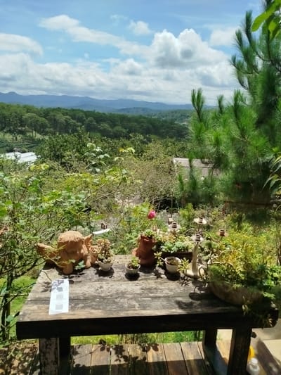 The image depicts an outdoor scene with a wooden table in the foreground, laden with potted plants and decorative figurines. A light blue sky with scattered white clouds forms the backdrop, above a lush, green landscape of trees and hills. The setting appears to be a tranquil spot, likely a garden or a terrace with a scenic view. The presence of plants suggests a natural or cultivated environment. The image does not provide specific indicators of the city of Trường An, Vietnam, beyond a general impression of a hilly, forested region with a temperate climate. No people are visible in the image, and no actions or interactions are taking place. The focus is on the arrangement of objects on the table and the surrounding natural scenery.
