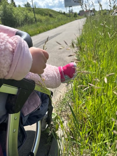 An outdoor photograph, taken in bright daylight, shows a close-up view of a child in a stroller exploring nature. The image is composed from a low angle, focusing on the child's interactions with the surroundings.

In the foreground, a child's hand, wearing a pink, soft-textured sleeve, reaches out towards a clump of tall, green grass with visible seed heads. Below the hand, a pink and light blue sneaker, worn by the child, rests on a pink blanket or a part of the stroller, partially obscured by the grass. A silver-colored frame of the stroller is visible, bearing the word "Cosmo" in black text.

The scene features a paved road or path running diagonally in the mid-ground, bordered by lush green grass and weeds. In the background, blurred green trees, bushes, and a hint of distant structures can be seen under a bright, cloudy sky. The strong sunlight and clear shadows indicate it is likely midday or early afternoon. The setting suggests a rural or suburban area in Zav'yalovo, Russia, during a peaceful outdoor activity like a walk.