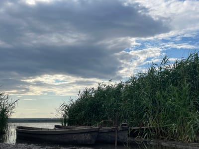 The image depicts two rustic wooden boats docked on a muddy shore, partially submerged in calm water. They are positioned in front of a dense wall of tall, green reeds that line the water's edge. Beyond the reeds, a wide expanse of water stretches towards a distant, low-lying horizon. The sky above is a dramatic mix of heavy, dark grey clouds interspersed with patches of bright blue sky and white clouds, suggesting an overcast or changing weather condition. The overall setting is natural and somewhat wild, with no signs of urban development. The specific location of Manta, Moldova, is not visually evident from the image itself; it appears to be a rural waterfront scene. There are no people visible in the frame, and the boats appear stationary and unused. The scene is serene, with a sense of quiet solitude.