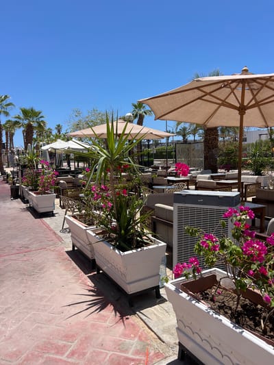 The image depicts an outdoor seating area, likely a restaurant or cafe, in a warm climate, possibly Sharm El Sheikh, Egypt. The scene is bathed in bright sunlight, indicating it is daytime, with a clear blue sky dominating the upper left portion of the frame.
Prominently featured is a large, beige outdoor umbrella with a wooden frame, casting a shadow. In the foreground, there are several white planters filled with lush green plants and vibrant pink bougainvillea flowers. One planter contains a spiky, palm-like plant. Adjacent to the planters is a large, grey air conditioning unit with a slatted front, suggesting the location is in a hot climate where cooling is necessary.
Beyond the planters and AC unit, rows of outdoor furniture, including sofas and chairs, are visible, arranged around tables. White canopies and more umbrellas are interspersed throughout the seating area, providing shade. Palm trees line the background, reinforcing the tropical or subtropical setting. The ground is paved with reddish-pink interlocking stones.
There are no people clearly visible in the image, nor is any specific activity or event taking place beyond the general ambiance of an open-air establishment. The overall impression is one of a relaxed, sunny environment ready to welcome patrons. No visible text is present in the image.