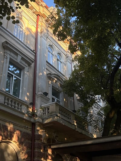 A medium shot captures the facade of an old building bathed in the warm, golden light of a late afternoon or early morning sun. The architecture is ornate, featuring arched windows with white frames, decorative cornices, and balconies with balustrades. A red downspout runs vertically along the building's facade. Lush green leaves from a large tree canopy partially obscure the upper floors, casting dappled shadows across the building. The lower section of the building displays a textured, patterned stonework in shades of brown and terracotta. The sky is a clear, bright blue. This image was taken on Volodymyra Velykoho Street in Ternopil, Ukraine, a street known for its historical buildings and mature trees. No people or actions are visible in the scene.
