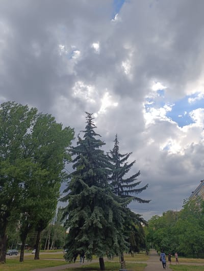 This image depicts an outdoor scene in Kryvyi Rih, Ukraine, with a focus on nature and a hint of urban life. The sky is dramatic, filled with a mix of heavy, dark gray clouds and patches of bright blue sky, suggesting a day with variable weather, possibly transitioning towards or away from rain. Sunlight breaks through the clouds in places, illuminating parts of the sky.
Dominating the foreground are several large trees, including a tall, dense evergreen that stands out with its dark green needles and branching structure. To its left is a deciduous tree with lush, vibrant green foliage. The trees line a paved pathway, creating a sense of a park or a tree-lined street. Benches are visible along the path, suggesting a place for rest and recreation.
In the background, there are hints of urban elements, including the upper floors of a multi-story building and power lines stretching across the sky. Several cars are visible on a road running parallel to the pathway, indicating the proximity of a street.
A few people are present, walking along the pathway. One individual is in the foreground, walking away from the camera, carrying a bag and what appears to be a walking stick. Another group of two people are further down the path, also walking. Their presence suggests a normal day with people enjoying the outdoor space. The overall mood of the image is somewhat somber due to the heavy clouds, but the presence of greenery and people hints at life and activity. The time of day is likely afternoon, given the quality of light. There is no visible text in the image.