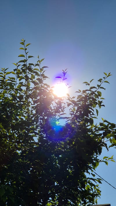 The image captures a low-angle view of a tree against a clear blue sky. The sun is bright and positioned towards the center-left of the frame, creating lens flare effects that cast a bright glow and streaks of light, including prominent blue and purple hues, across the image. Sunlight filters through the green leaves of the tree, illuminating some of them while leaving others in shadow, creating a dappled effect. The leaves appear lush and healthy, suggesting a warm season. A thin black wire, possibly a power line, is visible running diagonally through the upper right portion of the frame, suggesting an outdoor, likely suburban or rural setting. The time of day appears to be midday or early afternoon, given the high position of the sun and its intensity. There is no visible text in the image. The overall impression is one of a serene, sun-drenched day outdoors, with the natural beauty of the tree and sky as the central focus.
